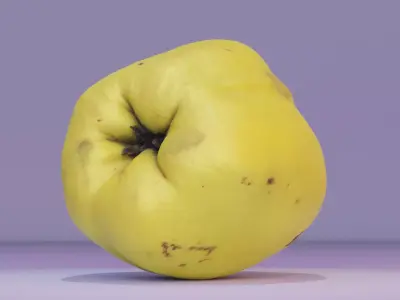 Quince fruit 06 high-poly 3D model