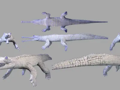 Gavial Gharial 3D model