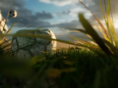 Football animation scene Low-poly 3D model