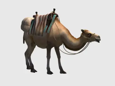 camel luggage animation  3D model