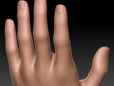 FLOWER HOLDING HAND VASE 2 3D print model