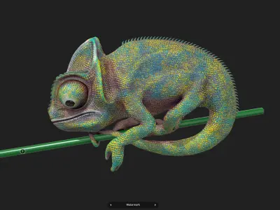M0008 Z-Brush 3d Model Chameleon Low-poly 3D model