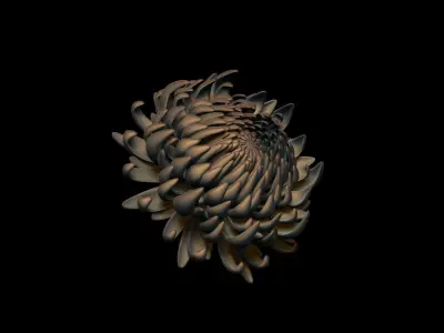 Aster 3D print model