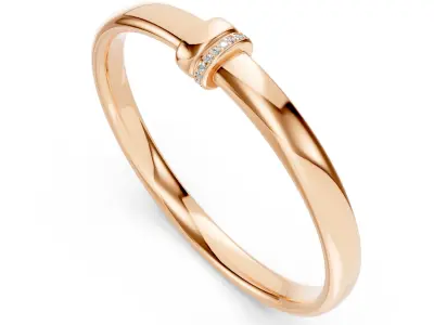 Pomellato Iconica Bangle 3D print model