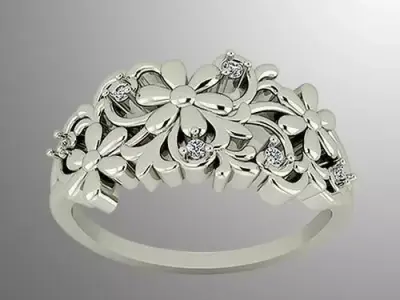 Ring 63 3D print model