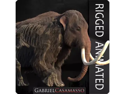 Woolly Mammoth - Mammuthus primigenius Anatomy Pack 3D model