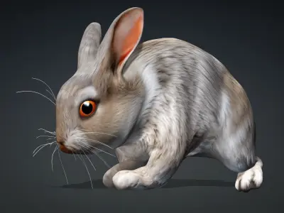Rabbit-A3 3D model