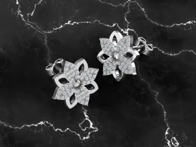 Jewelry Earring 3D print model