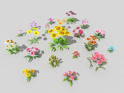 20 low poly flowers pack Low-poly 3D model