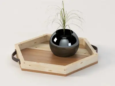 Reclaimed Wooden Hexagon Tray with Interior Planter Centerpiece 3D model