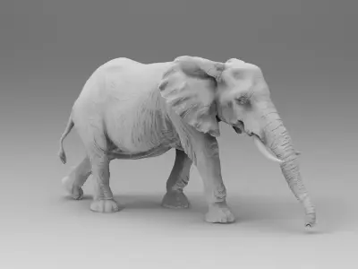 elephant 3D model