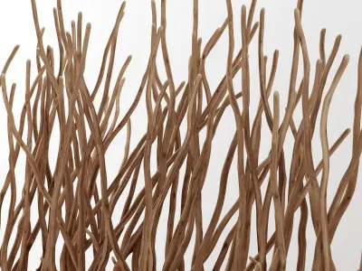 Branch folding screen decor n2  3D model