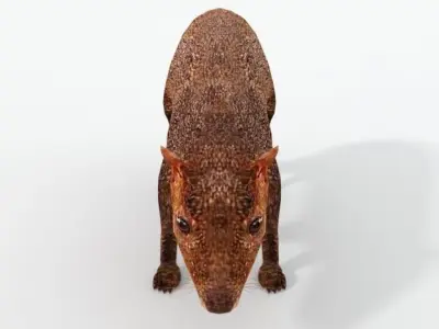 Dasyprocta punctata Low-poly 3D model