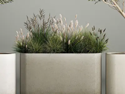 Decorative trees in concrete pots with bushes 3D model