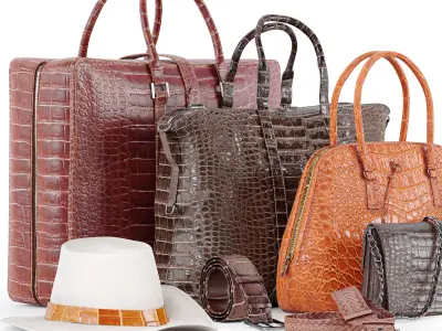 Set of bags 3D model