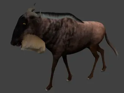 Wildebeest Low-poly 3D model