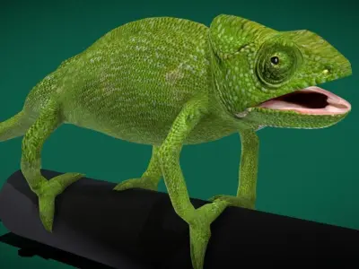 Chameleon Lizard Reptiles Low-poly 3D model