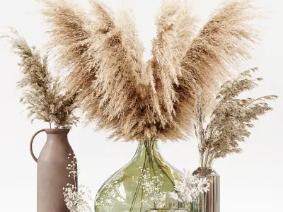 Collection dried plants 3D model