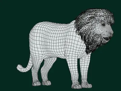 North Africa Young Lion  3D model
