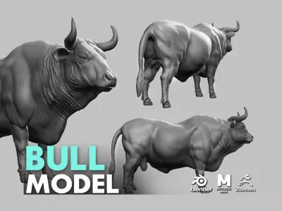 Bull model 3D model