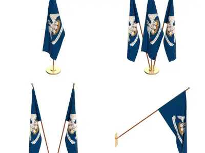 Louisiana Flag Pack 3D model