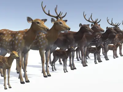 DEER FAMILY Low-poly 3D model
