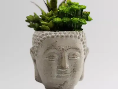 Buddah Head Plant Pot 3D model