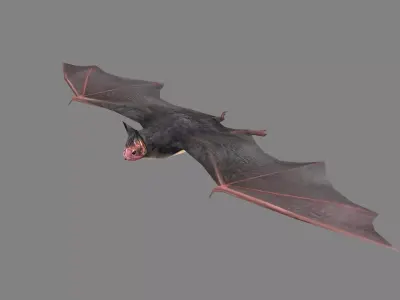 Cartoon Bat Low-poly 3D model purchase