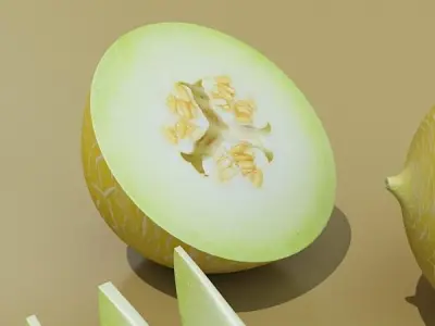 Melon High Res Textures 3D model