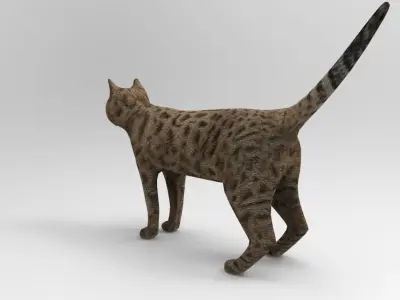 3D cat animated 3d low poly  Low-poly 3D model