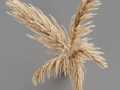 Hemase Collection Bouquet No1-5 3D model