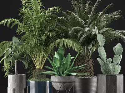 Plants Collection 23 3D model