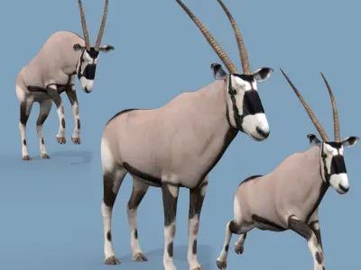 Colossal Animal Pack HD - Animated 3D model