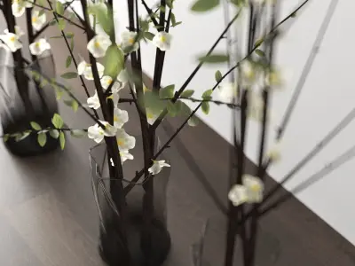 dry decorative plant set 3D model