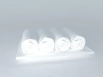 towels three rolls of paper Free 3D model