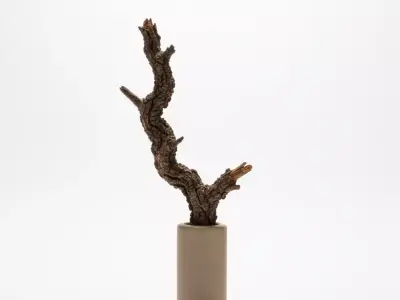 Decorative Dried Wood Branch in Modern Vase Low-poly 3D model