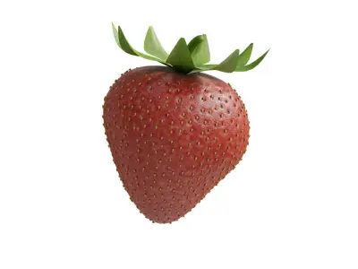 Strawberry Cup 3D model