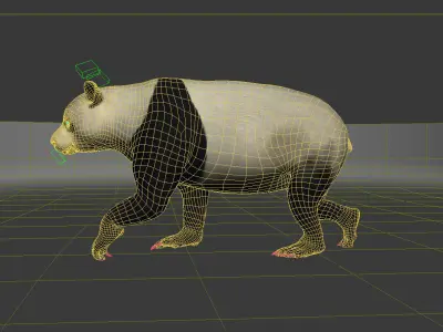 Panda A bear 3D model