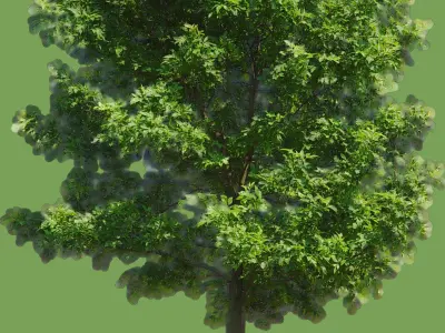 Exterior Sunrise Low-poly 3D model