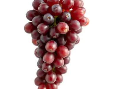 Realistic Red Grape Bunch 3D model pack Low-poly 3D model
