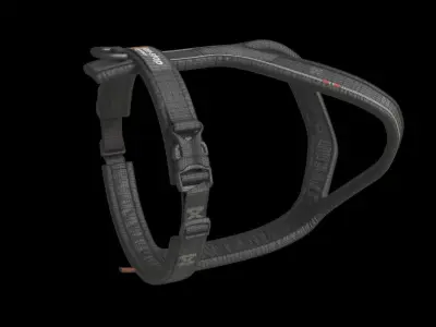 Short Dog Harness 3D model