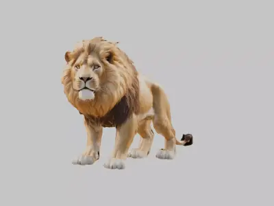 Majestic African Lion Low-poly 3D model