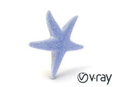 Realistic Textured Starfish Marine Model Pack Low-poly 3D model