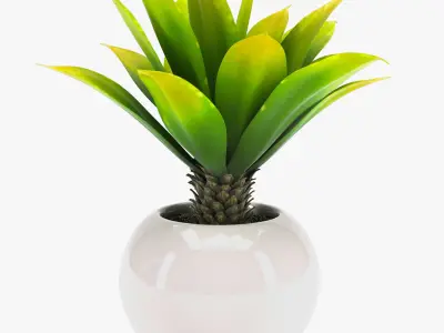 Pot Plant 24 3D models 3D model