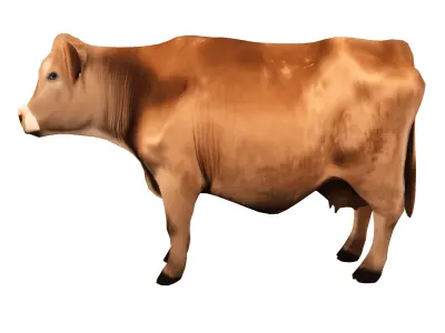 Farm Domestic Animals Bundle - 7 Set Models Low-poly 3D model