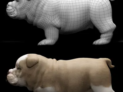DOG puppy 3D model