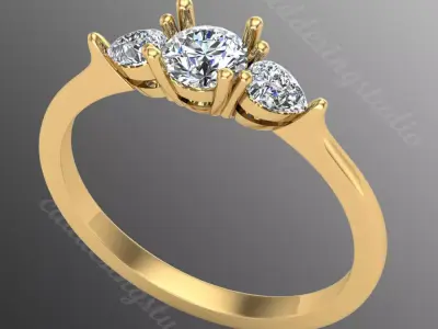 Ring ri254 3D print model