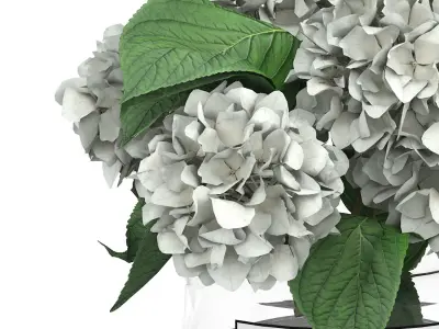 glass vase of white hydrangea flowers 3D model