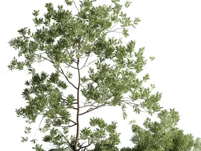 Plants box on Stand outdoor plant set in a concrete vase Low-poly 3D model