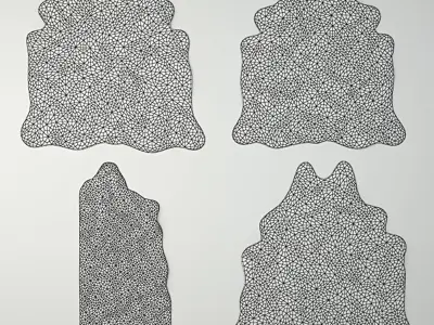 Rugs by ZARA HOME 2 3D model